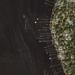 Fruit Cove map(satellite map)