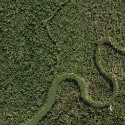 White Oak Landing Florida High Resolution Satellite Map