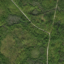 Twin Pole Florida High Resolution Satellite Map