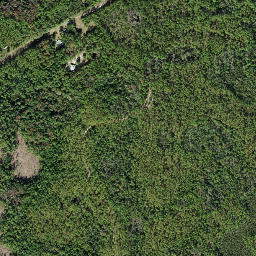 Ashmore Florida High Resolution Satellite Map