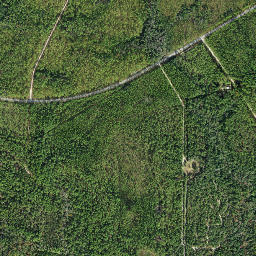 Sanborn Florida High Resolution Satellite Map