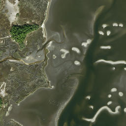 Skipper Florida High Resolution Satellite Map