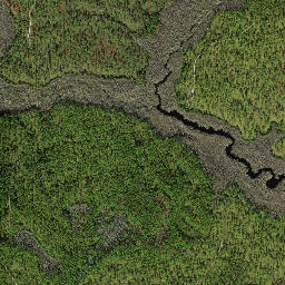 Owl Landing Florida High Resolution Satellite Map