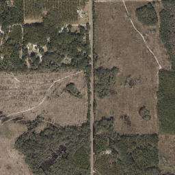 Taylor County map(satellite map)