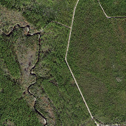 Morgan Place Florida High Resolution Satellite Map