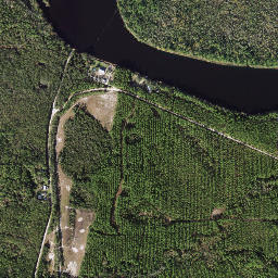 McIntyre Florida High Resolution Satellite Map