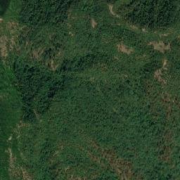 Bageshwar map(satellite map)