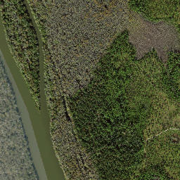 Brickyard Florida High Resolution Satellite Map