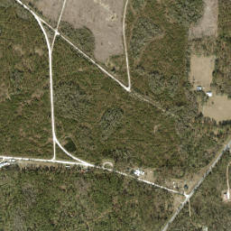 Cooks Hammock Florida High Resolution Satellite Map