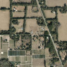 Bland Florida High Resolution Satellite Map