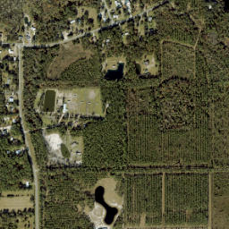 Bakersville Florida High Resolution Satellite Map