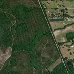 Leno Florida High Resolution Satellite Map