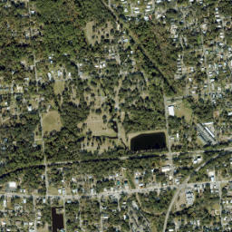 Moultrie Junction Florida High Resolution Satellite Map