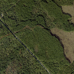 Meldrim Park Florida High Resolution Satellite Map