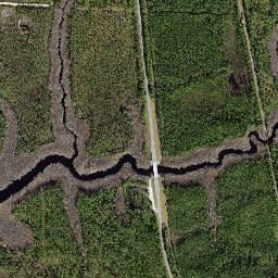 Beverly Florida High Resolution Satellite Map