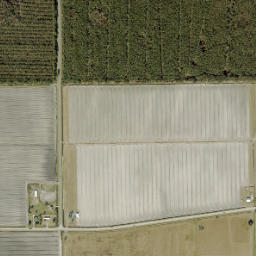 Molasses Junction Florida High Resolution Satellite Map