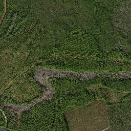 Hays Place Florida High Resolution Satellite Map