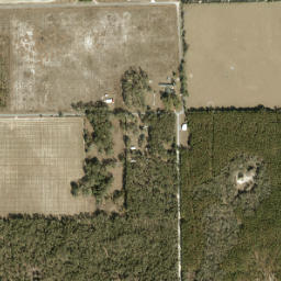 Hatchbend Florida High Resolution Satellite Map
