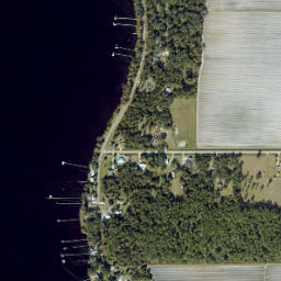 Tocoi Florida High Resolution Satellite Map