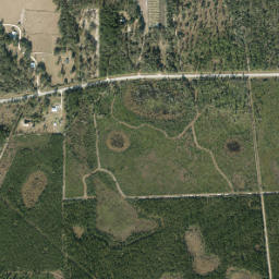 Louise Florida High Resolution Satellite Map