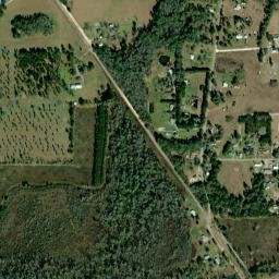 Theressa Florida High Resolution Satellite Map