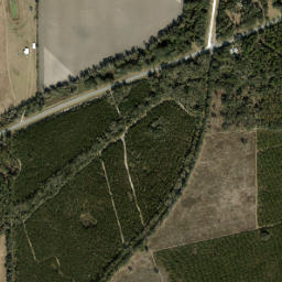 Hainesworth Florida High Resolution Satellite Map