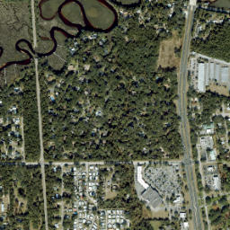 Moultrie Florida High Resolution Satellite Map