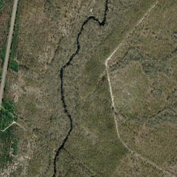 Clara Florida High Resolution Satellite Map