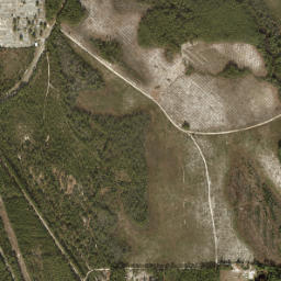Niles Florida High Resolution Satellite Map