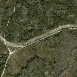 Williford Florida High Resolution Satellite Map