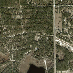 Craggs Florida High Resolution Satellite Map