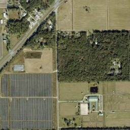 Elkton Florida High Resolution Satellite Map