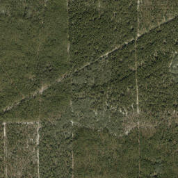 Harvard Florida High Resolution Satellite Map