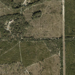 Neals Florida High Resolution Satellite Map