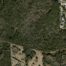Alachua map(satellite map)