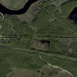 Odena Florida High Resolution Satellite Map