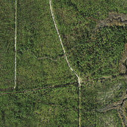 Tilton Florida High Resolution Satellite Map