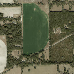 Curtis Florida High Resolution Satellite Map
