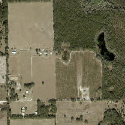 Mutual Florida High Resolution Satellite Map