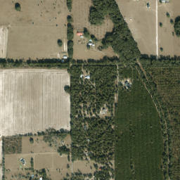 Wade Florida High Resolution Satellite Map