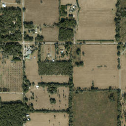 Forest Grove Florida High Resolution Satellite Map