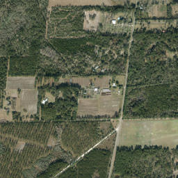 Earleton Florida High Resolution Satellite Map