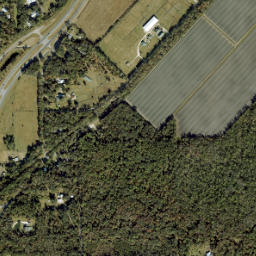 Spuds Florida High Resolution Satellite Map