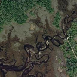 Dallus Creek Landing Florida High Resolution Satellite Map