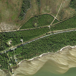 Eleven Mile Florida High Resolution Satellite Map