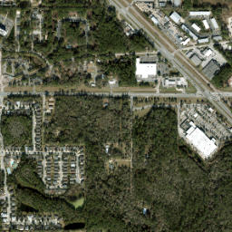 Paradise Florida High Resolution Satellite Map