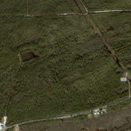 Indian Pass Florida High Resolution Satellite Map