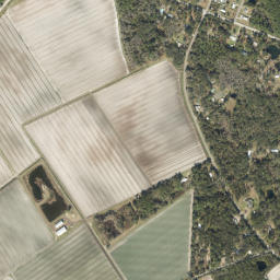 Patersonville Florida High Resolution Satellite Map