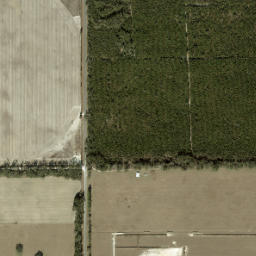 Thames Florida High Resolution Satellite Map