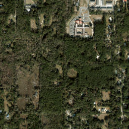 Rutledge Florida High Resolution Satellite Map